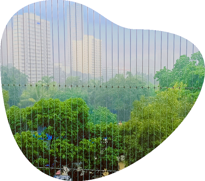 Custom Industrial Pigeon Nets for Large Spaces | AS Enterprises
									Solution | 8051800912 | Vapi, Mumbai